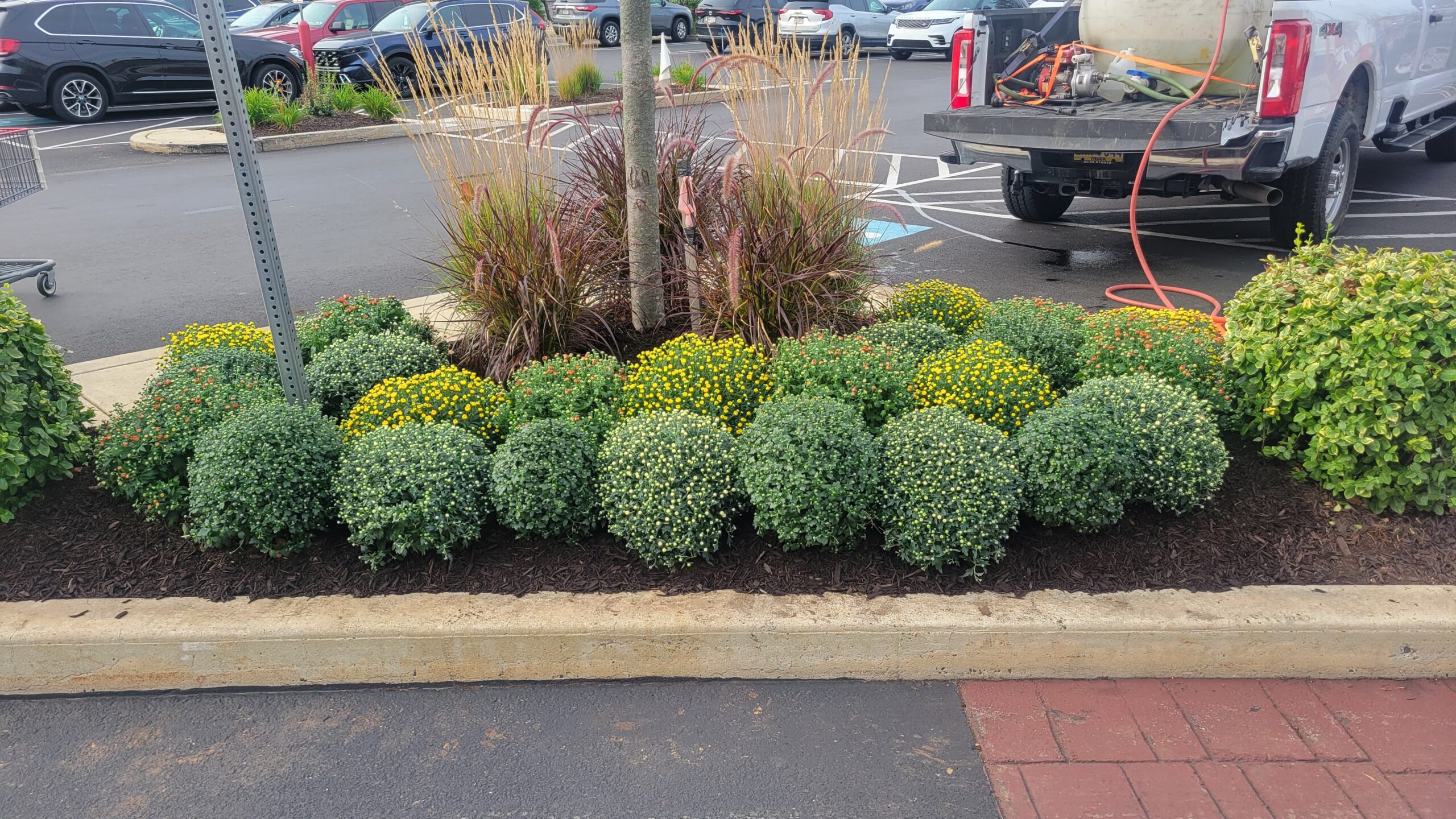 Spring flowers outside an office building